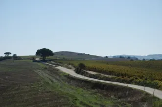 Rota - Rota da Luz - União de Freguesias de Carvoeira e Carmões| Torres Vedras| Oeste| Portugal
