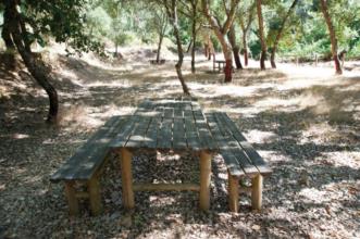 Route - PR2 SRD Trilho do Pastor - Sardoal| Portugal