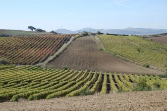 Rota - Rota da Luz - União de Freguesias de Carvoeira e Carmões| Torres Vedras| Oeste| Portugal