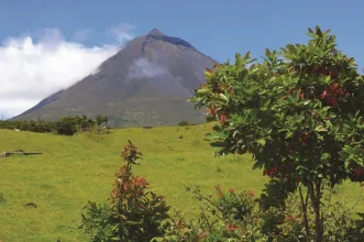 Rota - PR13 PIC Trilho da Lagoa do Capitão  - São Roque | São Roque do Pico| Região Autónoma dos Açores| Portugal