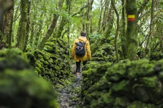 Rota - PR2 PIC Caminho dos Burros - São Roque| São Roque do Pico| Região Autónoma dos Açores| Portugal