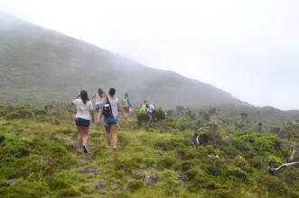 Rota - PR2 PIC Caminho dos Burros - São Roque| São Roque do Pico| Região Autónoma dos Açores| Portugal