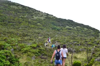 Rota - PR2 PIC Caminho dos Burros - São Roque| São Roque do Pico| Região Autónoma dos Açores| Portugal