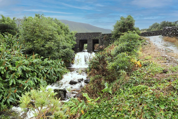 Rota - PRC8 PIC Percurso da Ladeira dos Moinhos - São Roque| São Roque do Pico| Região Autónoma dos Açores| Portugal