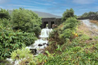 Rota - PRC8 PIC Percurso da Ladeira dos Moinhos - São Roque| São Roque do Pico| Região Autónoma dos Açores| Portugal