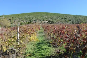 Route - PR4 LRA Rota da Nascente do Rio Lis - Cortes| Leiria| Região de Leiria| Portugal