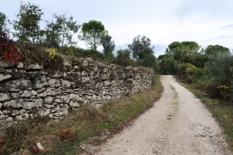 Rota - PR5 LRA Rota do Peregrino  - Cortes| Leiria| Região de Leiria| Portugal