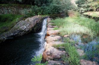 Rota - PR3 SRD Do Pão ao Vinho - Sardoal| Sardoal| Médio Tejo| Portugal