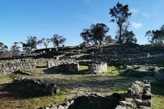 Route - Na Encosta dos Mirtilos  - Romariz| Santa Maria da Feira| Área Metropolitana do Porto| Portugal