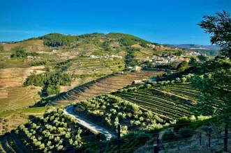 Rota - PR1 SMP - Trilho da Terra e do Céu  - Vila da Cumieira| Santa Marta de Penaguião| Douro| Portugal