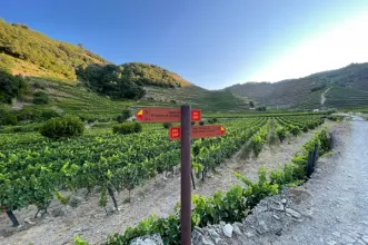 Rota - PR1 SMP - Trilho da Terra e do Céu  - Vila da Cumieira| Santa Marta de Penaguião| Douro| Portugal
