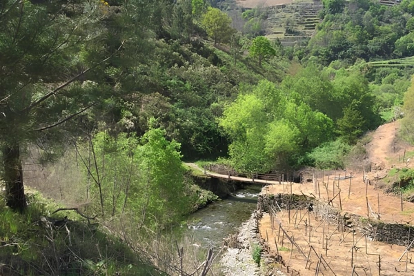 Rota - PR4 SMP - Trilho do Aguilhão - Louredo  | Santa Marta de Penaguião| Douro| Portugal