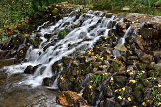 Route - À Descoberta dos Açudes - Caldas de São Jorge| Santa Maria da Feira| Área Metropolitana do Porto| Portugal