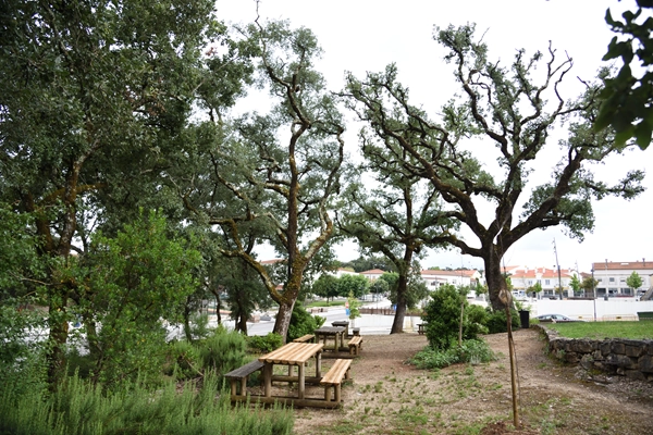 Rota - PR2 ANS - Rota Romana - Ansião| Ansião| Região de Leiria| Portugal