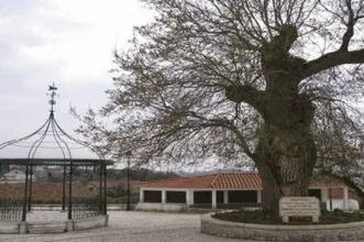 Route - PR3 ANS – Rota dos Pinhais  - Ansião| Ansião| Região de Leiria| Portugal