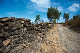 Rota - PR5 SRD Caminho da Moura Encantada - Santa Clara| Portugal