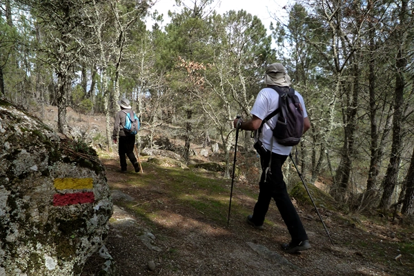 Rota - PR4 GRD - Rota do Azeite - João Antão     - João Antão  | Guarda| Beiras e Serra da Estrela| Portugal