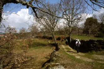 Rota - PR4 GRD - Rota do Azeite - João Antão     - João Antão  | Guarda| Beiras e Serra da Estrela| Portugal