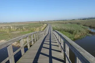 Rota - Passadiços da Barrinha de Esmoriz - Barrinha de Esmoriz| Ovar| Região de Aveiro| Portugal