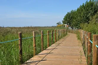 Rota - Passadiços da Barrinha de Esmoriz - Barrinha de Esmoriz| Ovar| Região de Aveiro| Portugal