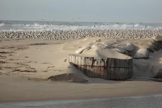 Rota - Passadiços da Barrinha de Esmoriz - Barrinha de Esmoriz| Ovar| Região de Aveiro| Portugal