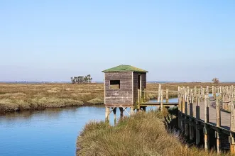 Rota - Passadiços de Aveiro  - Cais de São Roque | Aveiro| Região de Aveiro| Portugal