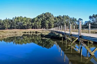 Rota - Passadiços de Aveiro  - Cais de São Roque | Aveiro| Região de Aveiro| Portugal