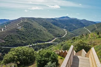 Rota - Passadiços do Côa - Museu do Côa| Vila Nova de Foz Côa| Douro| Portugal