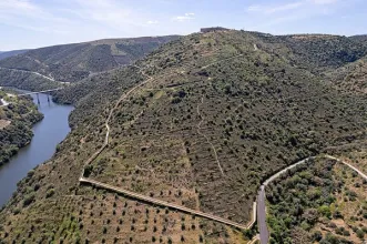 Rota - Passadiços do Côa - Museu do Côa| Vila Nova de Foz Côa| Douro| Portugal