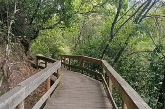 Route - Ecovia do Rio Homem - Passadiços de Terras de Bouro - Terras de Bouro| Terras de Bouro| Cávado| Portugal