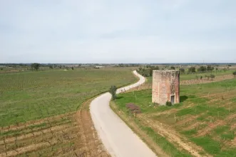 Rota - PR2 CNT - Rota da Vinha  - Cantanhede| Região de Coimbra| Portugal
