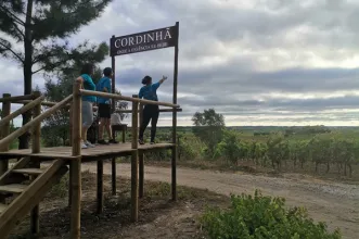 Rota - PR2 CNT - Rota da Vinha  - Cantanhede| Região de Coimbra| Portugal