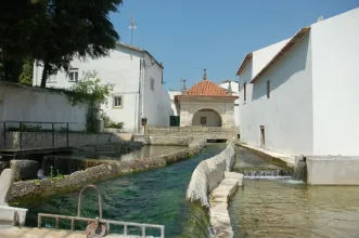 Rota - Ançã - Um Percurso pelo Património  - Ançã| Cantanhede| Região de Coimbra| Portugal