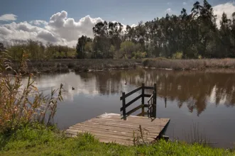 Rota - PR1 VGS Trilho da Lontra - Covão do Lobo| Vagos| Região de Aveiro| Portugal