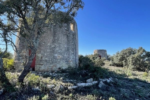 Route - PR3 FAR - Pelas Veredas de Gorjões - Gorjões| Faro| Algarve| Portugal