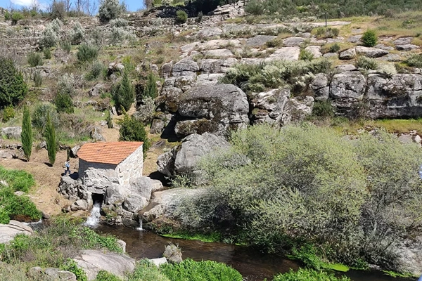 Rota - PR1 NLS - Moinhos do Castelo - Vila de Senhorim| Nelas| Viseu Dão Lafões| Portugal