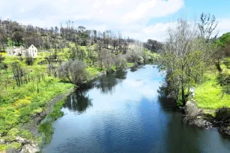 Rota - Circuito Pedestre das Caldas da Felgueira - Caldas da Figueira| Nelas| Viseu Dão Lafões| Portugal