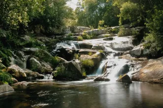 Rota - PR2 Tarouca - Tarouca| Tarouca| Douro| Portugal