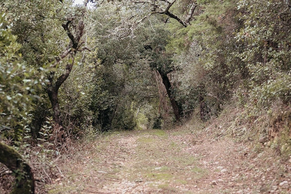 Rota - Percurso Interpretativo Reserva Natural do Paul de Arzila - Arzila| Coimbra| Região de Coimbra| Portugal