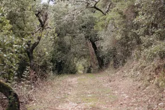 Rota - Percurso Interpretativo Reserva Natural do Paul de Arzila - Arzila| Coimbra| Região de Coimbra| Portugal