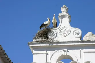 Rota - Visite Faro – Roteiro de 2 Dias - Faro| Faro| Algarve| Portugal