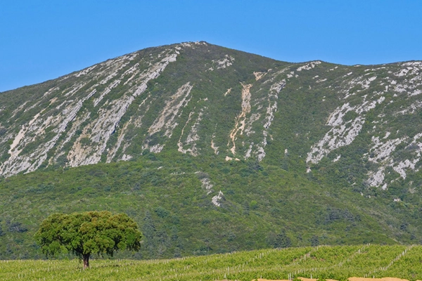 Rota - PR4 STB Aldeias de Azeitão - Vila Nogueira de Azeitão| Setúbal| Área Metropolitana de Lisboa| Portugal