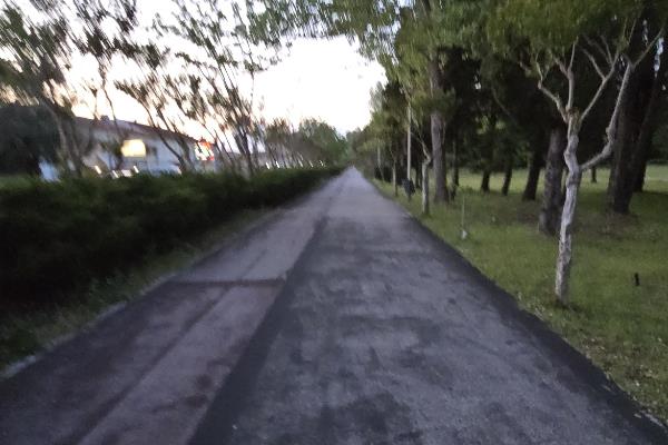 Rota - Ciclovia da Mealhada  - Mealhada| Mealhada| Região de Coimbra| Portugal