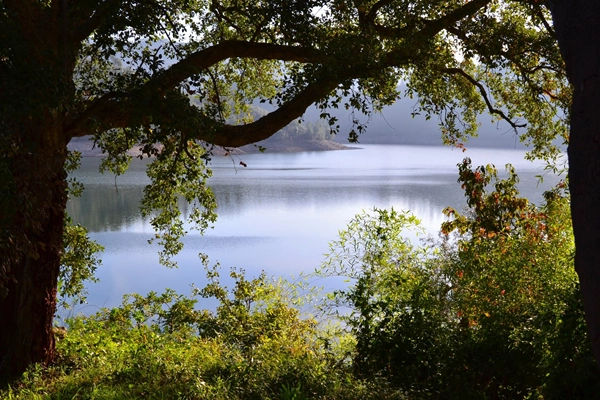 Route - PR2 FZZ - Trilho do Lagar Velho - Pombeira - Freguesia de Ferreira do Zêzere| Ferreira do Zêzere| Médio Tejo| Portugal
