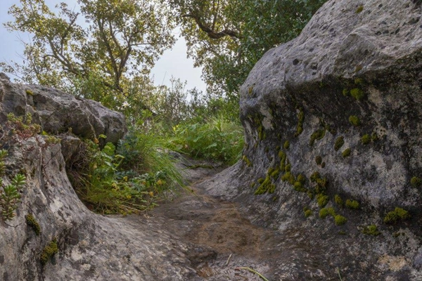 Rota - PR4 LHN – Dos Dinossauros à Rocha - Ribamar| Lourinhã| Oeste| Portugal