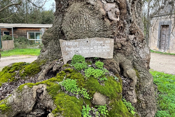 Route - PR5 LHN – Nos Trilhos de Pedro e Inês  - Moledo| Lourinhã| Oeste| Portugal