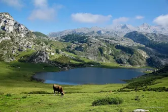 Rota - Rota dos Lagos de Covadonga - Covadonga| Cangas de Onís| Asturias| España