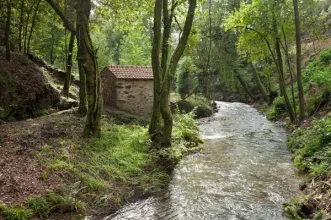 Rota - Rota dos Moinhos  - Vilarinho de S. Roque, Ribeira de Fráguas| Albergaria-A-Velha| Região de Aveiro| Portugal