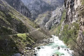 Rota - Arredores de Tresviso - Tresviso| Cantabria| España