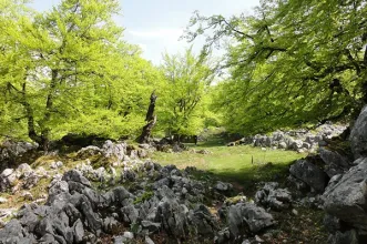 Route - Demués - Los Lagos - Onís| Asturias| España